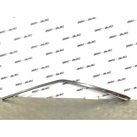 молдинг на дверь Cadillac CTS 2, II, sedan 2008 19351653