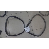 Уплотнитель проема двери задний Renault Laguna 2 2001-2008 2002 8200440770