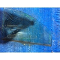стекло MAZDA MPV LW5W L08158511A