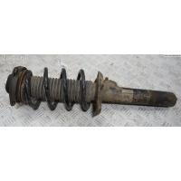 Амортизатор подвески передний правый Audi A3 8P (2003-2012) 2005 1T0413031DB