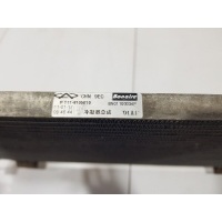 Радиатор кондиционера (конденсер) Chery Tiggo T11 2005-2016 T118105010