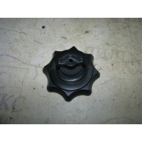 болт крепления запасного колеса Audi A3 (8PA) 2004-2013 2008 1K0803899B