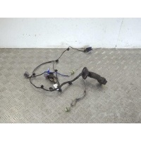 Проводка двери Renault Laguna 2 (2001-2007) 2001 8200079209