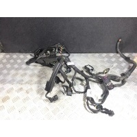 Проводка двигателя Opel Astra H 2008 55559320