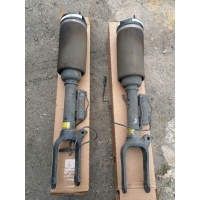 Амортизатор пневматический мерседес w251 a2513205613