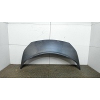 Капот Renault Scenic 2003-2009 2007 651001097R