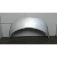 Капот Renault Scenic 2003-2009 2007 651001097R