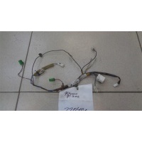 Проводка двери багажника Mazda Demio DW 1996-2002 2001 D2016706YC