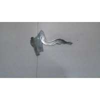 Петля капота левая Hyundai Santa Fe 2005-2012 2007 791102B000