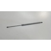 Амортизатор крышки багажника левая=правая Renault Scenic 2009-2012 2010 904500004R