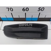 Решетка в бампер левая VAG Octavia (A5 1Z-) (2004 - 2013) 1Z0807367B9B9