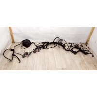 проводка Renault Espace 4 2004 55RGD4024,8200272453