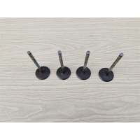 клапан впускной JEEP GRAND CHEROKEE (ZJ) 1993-1998 JEEP GRAND CHEROKEE (ZJ) 1993-1998 33003515, Совместимые OEM номера 33003515,IV1119,V2060