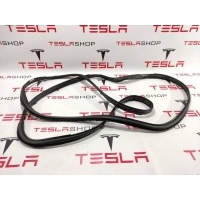 Уплотнитель Tesla Model X 2016 1118637-00-F,1032469-00-C
