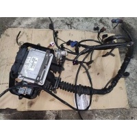 Проводка двигателя Volkswagen Passat B5 2000 038906018n