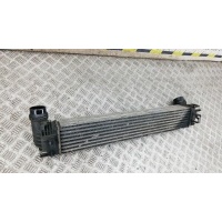 Радиатор интеркуллера RENAULT SCENIC (2009-2012) 2010 144968116R,144960734R,144960022R