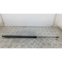 Амортизатор 3-5 двери RENAULT SCENIC (2008-0000) 2009 904517337R