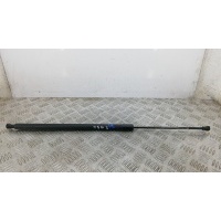 Амортизатор 3-5 двери RENAULT SCENIC (2008-0000) 2009 904517337R
