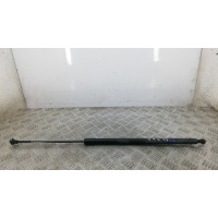 Амортизатор 3-5 двери RENAULT SCENIC (2008-0000) 2010 904517337R