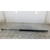 Амортизатор 3-5 двери RENAULT SCENIC (2008-0000) 2010 904517337R