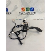 проводка двери Renault Duster HSM 2017 241241055R