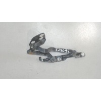 Петля крышки багажника правая Volkswagen Passat 5 2000-2005 2003 3B5827302B