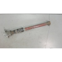 Амортизатор подвески зад. левая=правая Audi A6 (C5) 1997-2004 2005 4B0513031N