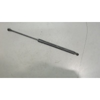 Амортизатор крышки багажника левая=правая Renault Scenic 2009-2012 2010 904500004r
