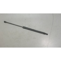 Амортизатор крышки багажника левая=правая Renault Scenic 2009-2012 2010 904500004R