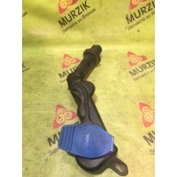 Горловина бачка омывателя AUDI A6 C6 2004 4F0955452