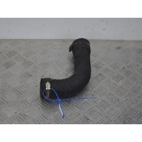 Патрубок интеркулера Renault Scenic 1 (1996-2003) 2001 8200065740