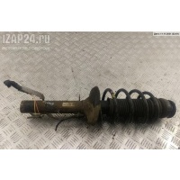 Амортизатор подвески передний левый Volkswagen Golf-4 2003 1J0413031BJ