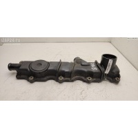 Крышка клапанная ДВС Citroen Berlingo (1996-2008) 2005 00000248G3, WJY, DW8B