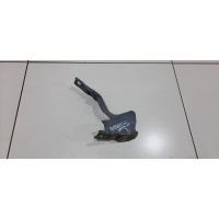 Петля капота левая Hyundai Santa Fe II 2004-2012 791102B000