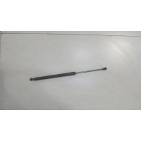 Амортизатор крышки багажника левая=правая Renault Scenic 2009-2012 2011 904500004R