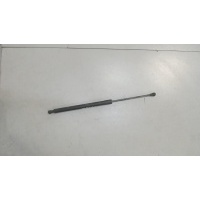 Амортизатор крышки багажника левая=правая Renault Scenic 2009-2012 2011 904500004R