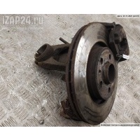 Кулак (корпус ступицы) передний правый Volkswagen Bora 2001 1J0407256AJ