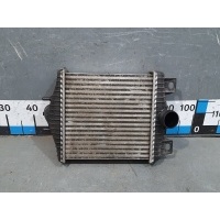 Интеркулер Land Rover Range Rover Sport 2 LR036432