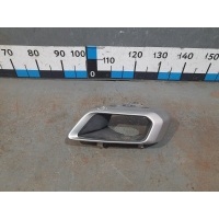 Насадка на глушитель BMW X5 G05 51127493625