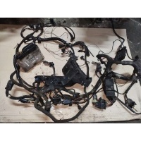 Проводка двигателя Volkswagen Golf 4 1999 038906018BQ