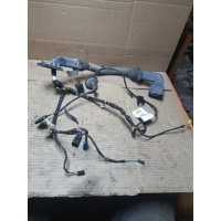 Проводка двери Mercedes GL500 X164 2007 A1644407010