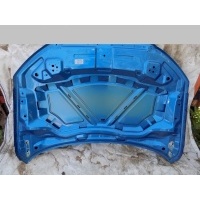 Капот Audi Q3 2012> 8U0823029B