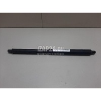 Амортизатор двери багажника BMW X5 E70 (2007 - 2013) 51247177283