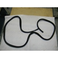 Уплотнитель (внутри) FORD Focus II 2005-2008 1534918