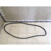 Уплотнитель (внутри) RENAULT Megane II 2002-2009 8200077500