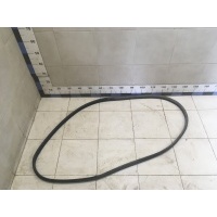 Уплотнитель (внутри) RENAULT Megane II 2002-2009 8200077500