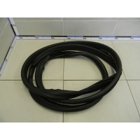 Уплотнитель двери RENAULT Megane II 2002-2009 8200077500