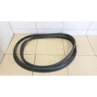 Уплотнитель двери RENAULT Megane II 2002-2009 8200077500