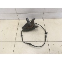 Цапфа (п.з.к.) RENAULT Megane III 2009-2016 430180834R