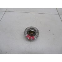 Термостат SKODA Octavia (A4 1U-) 2000-2011 050121113c